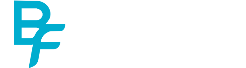 BodyFy